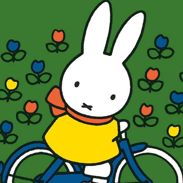 Prentenboekjesfestival - nijntje op de fiets | 2+