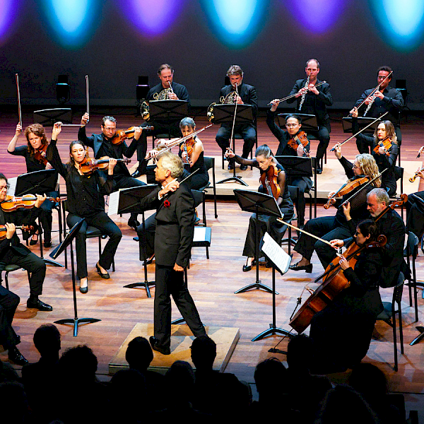 COoL | Chamber Orchestra of Limburg - Het nieuwe klassieke geluid van Limburg