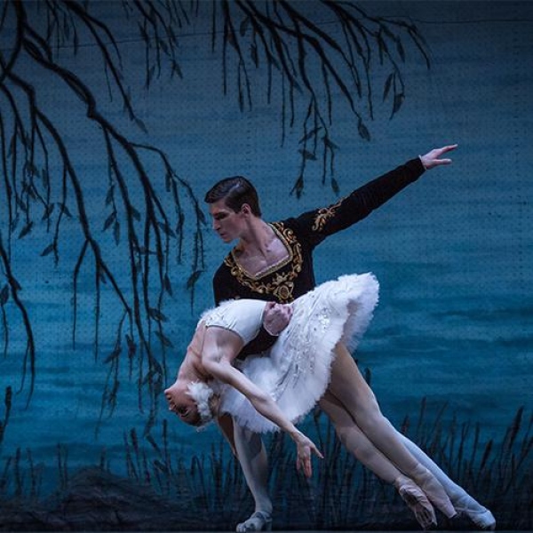 Het Zwanenmeer - Het Zwanenmeer Charkiv City Ballet